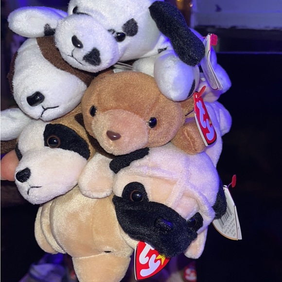 I have a full collection of TY the beanie babies collection - Picture 2 of 6